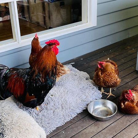 Farm Stay Maple Cottage At Wilindi Estate Tyabb エクステリア 写真