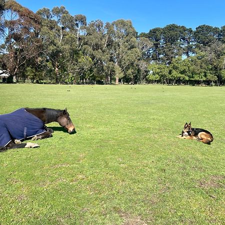 Farm Stay Maple Cottage At Wilindi Estate Tyabb エクステリア 写真