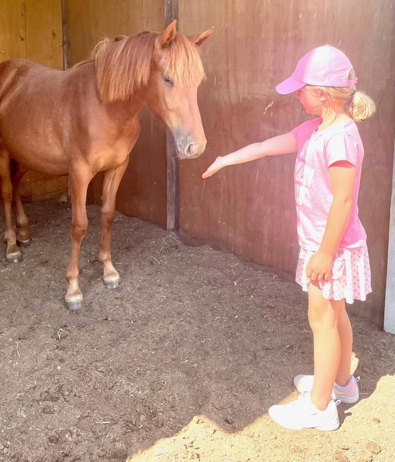 Farm Stay Maple Cottage At Wilindi Estate Tyabb エクステリア 写真