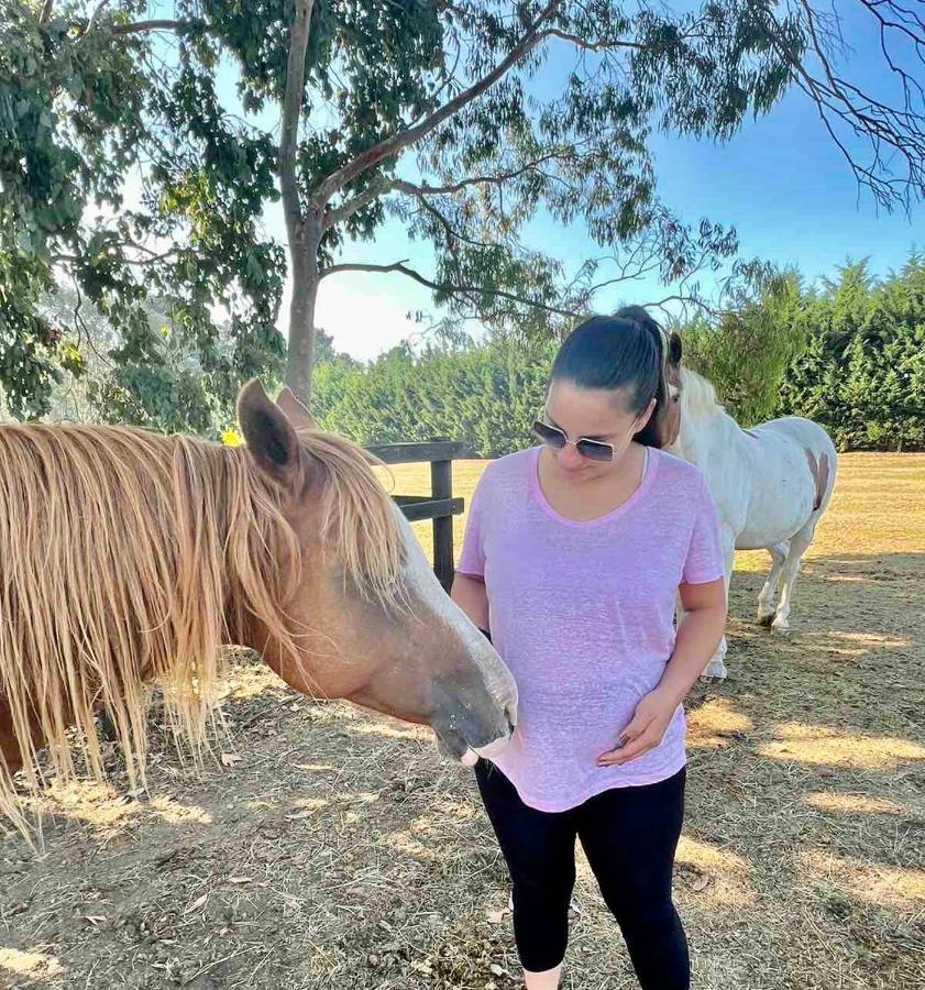 Farm Stay Maple Cottage At Wilindi Estate Tyabb エクステリア 写真