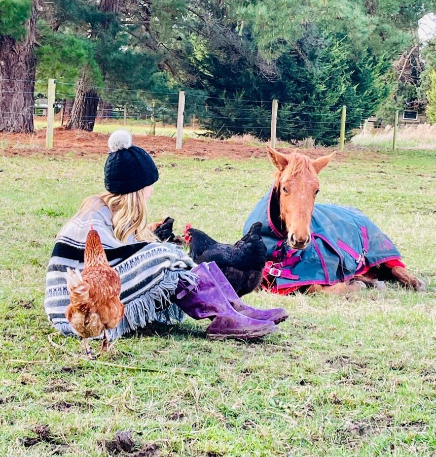 Farm Stay Maple Cottage At Wilindi Estate Tyabb エクステリア 写真