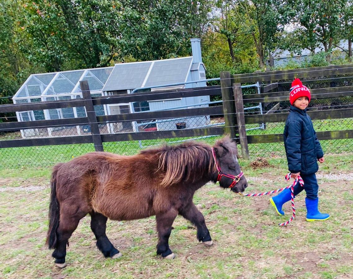 Farm Stay Maple Cottage At Wilindi Estate Tyabb エクステリア 写真
