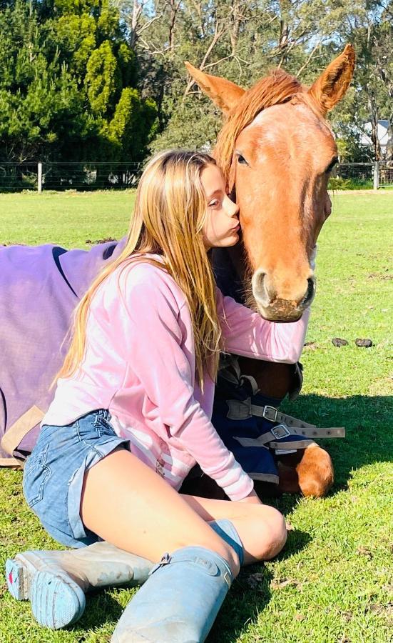 Farm Stay Maple Cottage At Wilindi Estate Tyabb エクステリア 写真