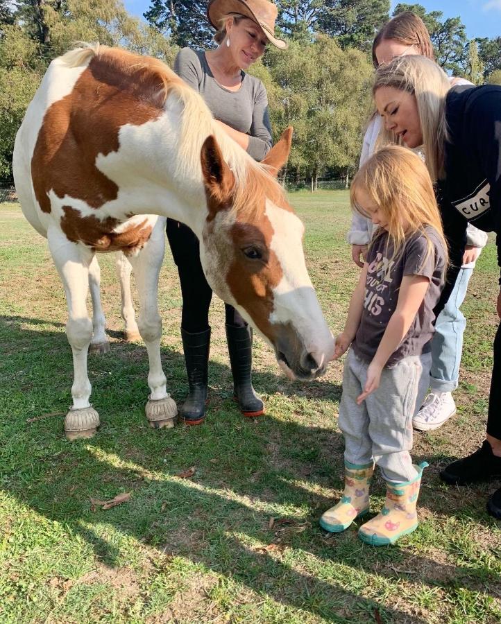 Farm Stay Maple Cottage At Wilindi Estate Tyabb エクステリア 写真