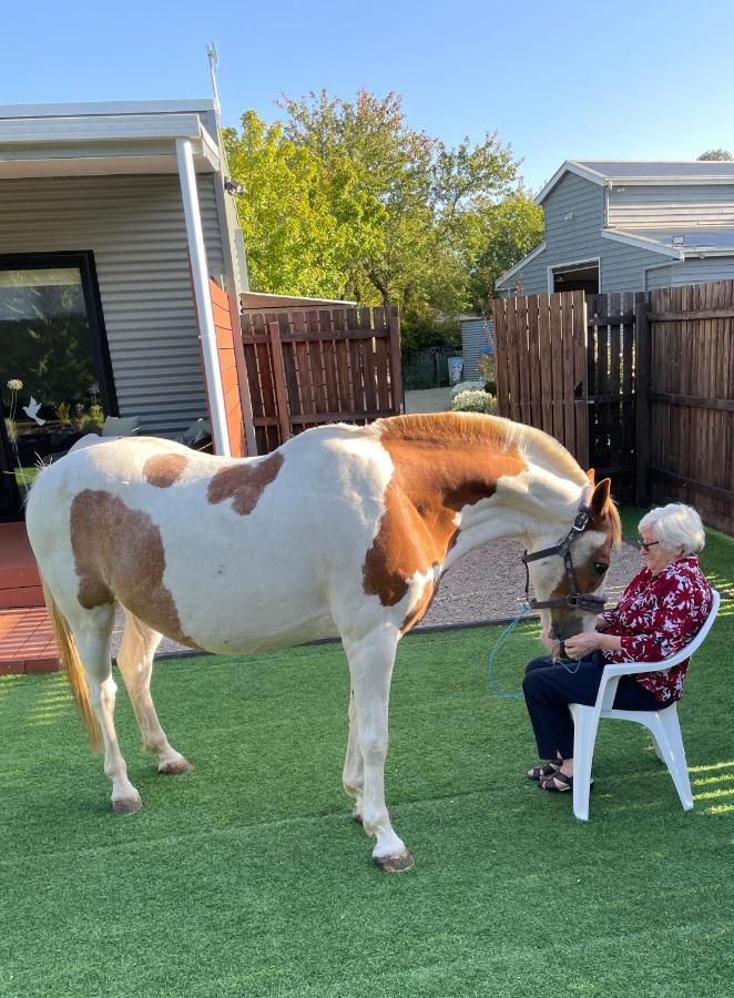 Farm Stay Maple Cottage At Wilindi Estate Tyabb エクステリア 写真